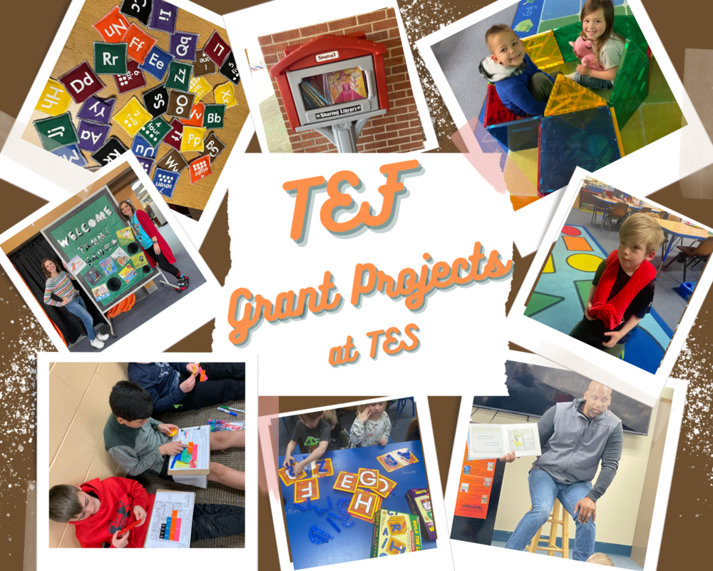 TEF Grant Projects