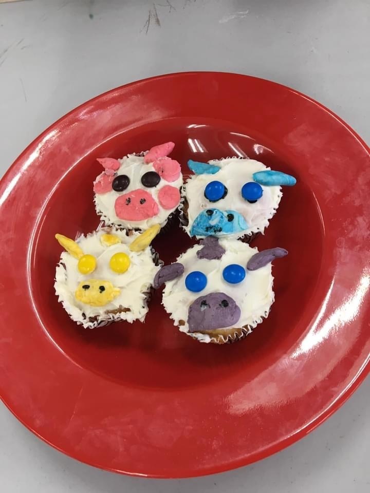 Cupcakes made at Cupcake Wars  